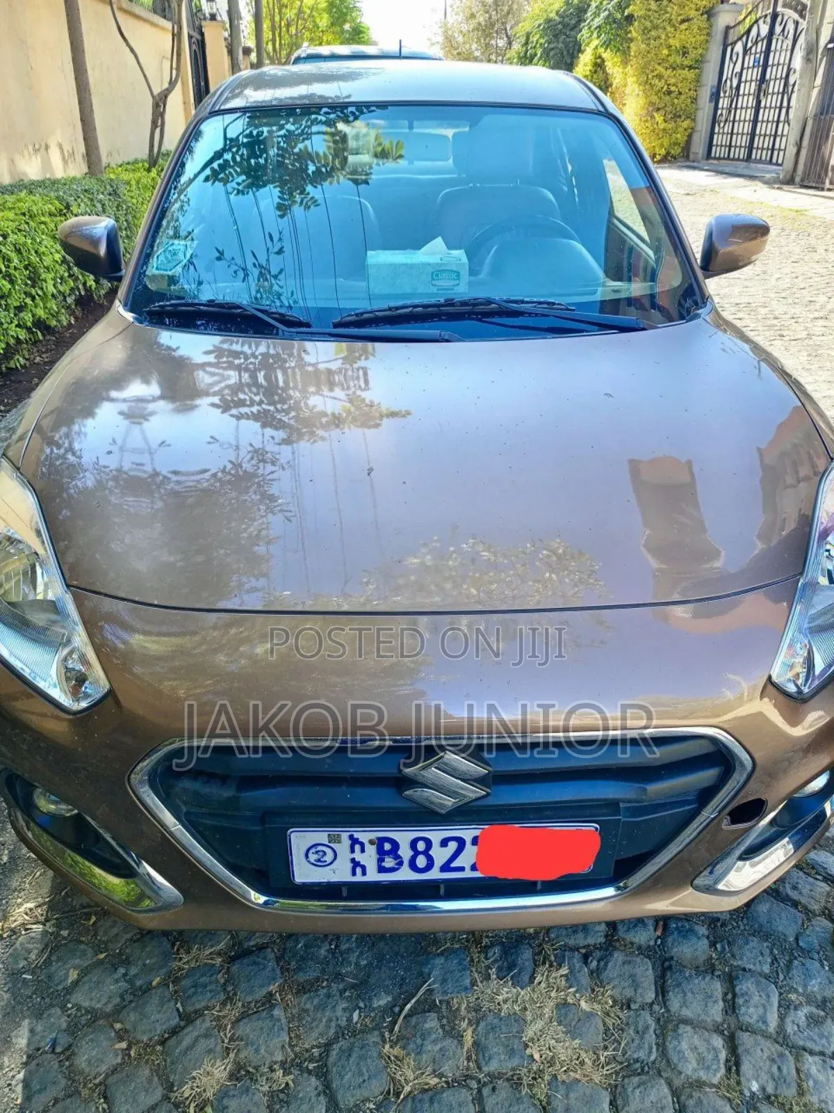 Suzuki DS 2021 Brown