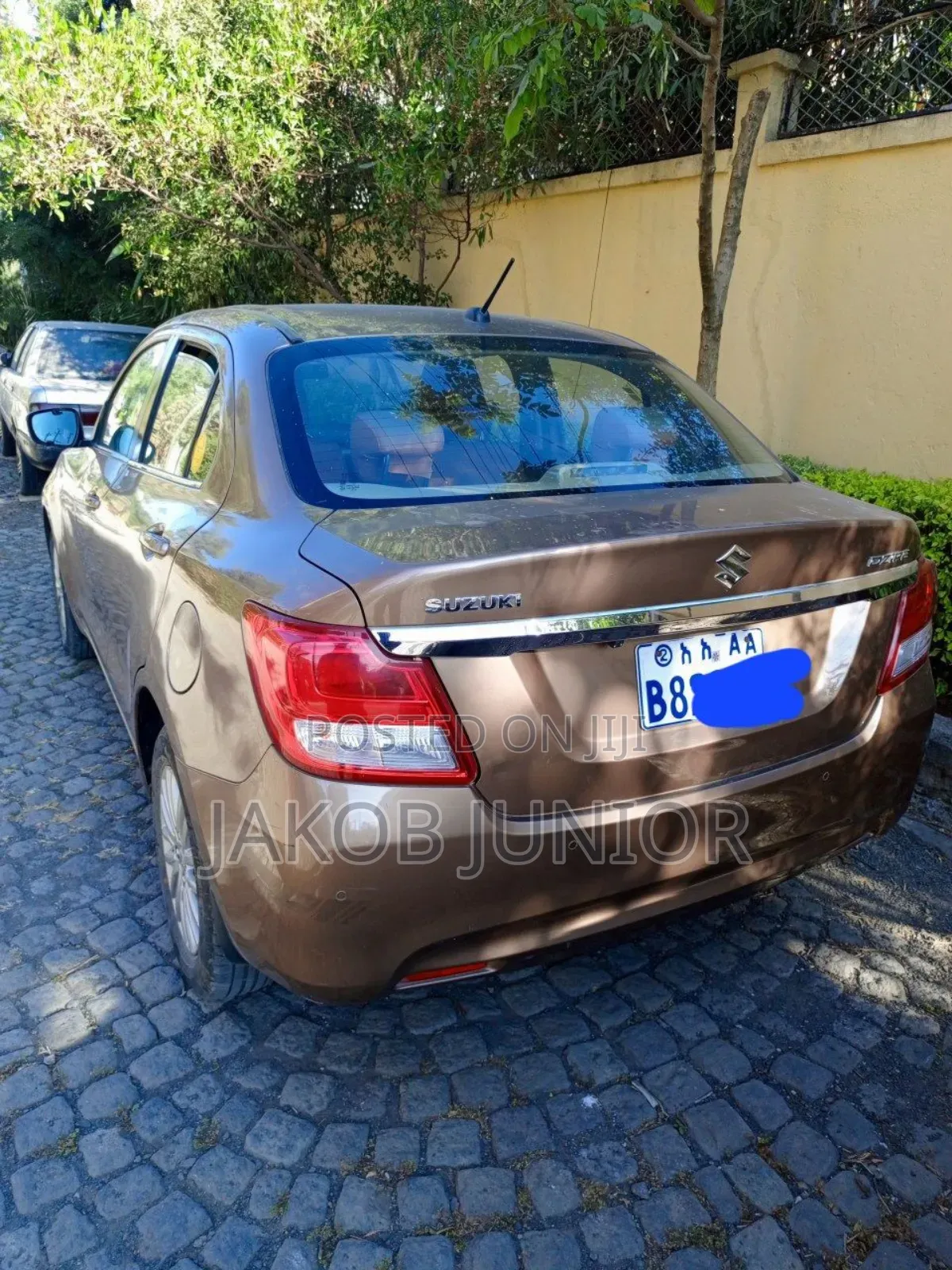 Suzuki DS 2021 Brown