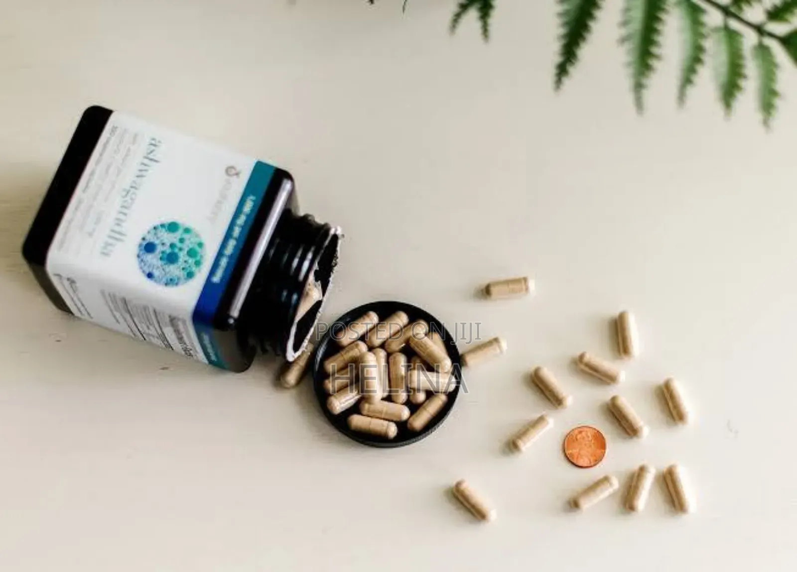 Youtheory Ashwagandha : Stress Relief Companion in a Bottle