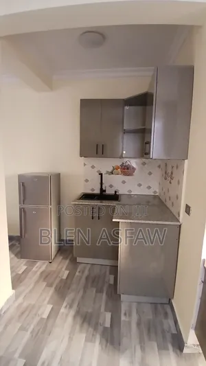 Furnished 1bdrm Apartment in Bole for rent