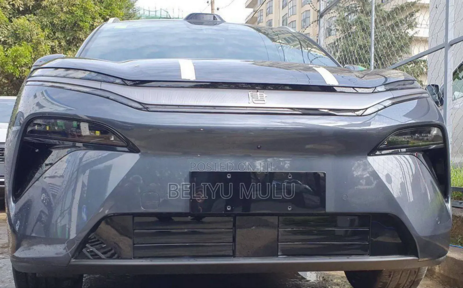 New BYD Tang EV 2025 Gray