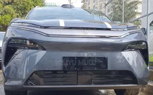 Photo - New BYD Tang EV 2025 Gray