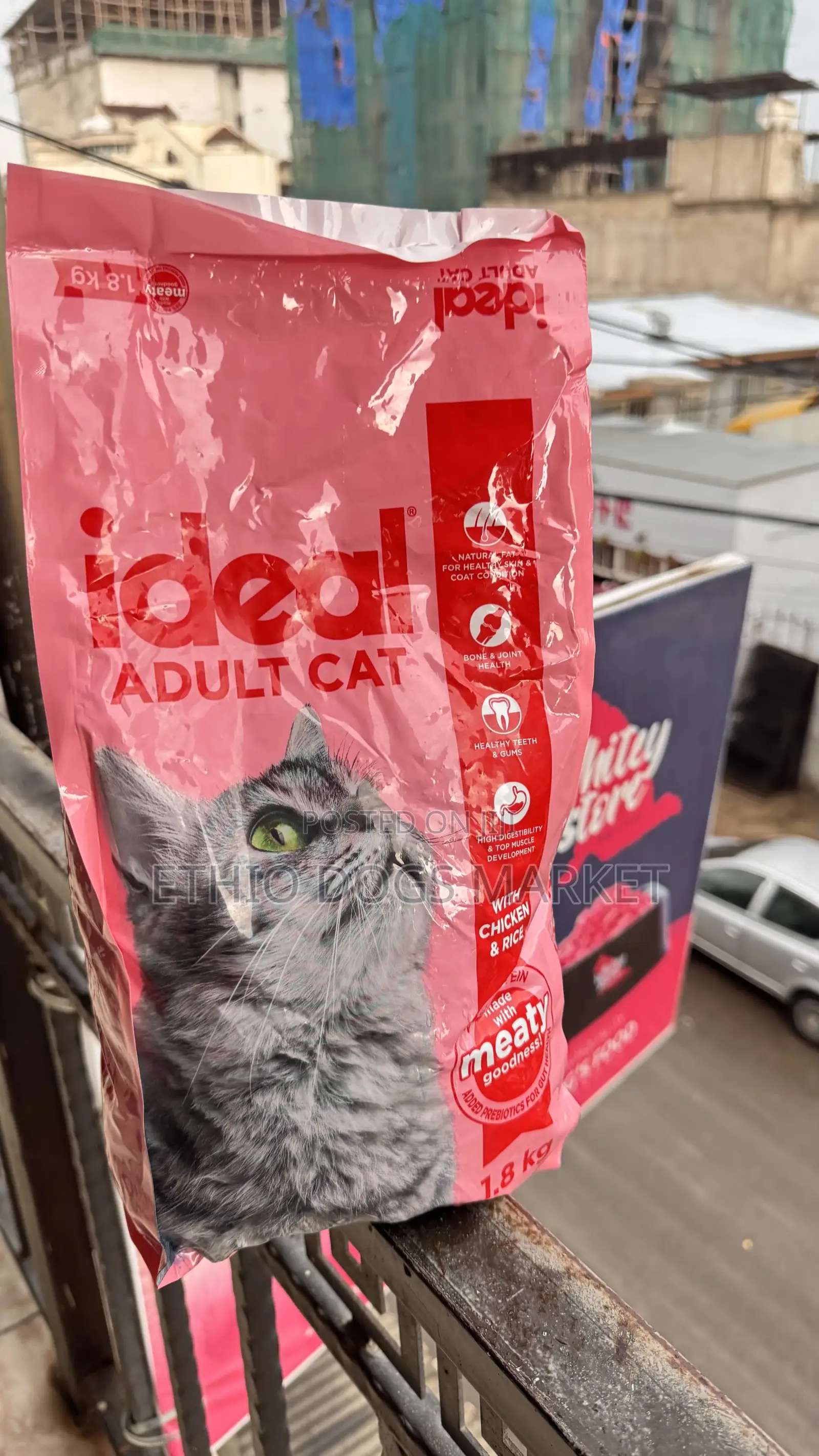 Ideal Adult Cat Dry
