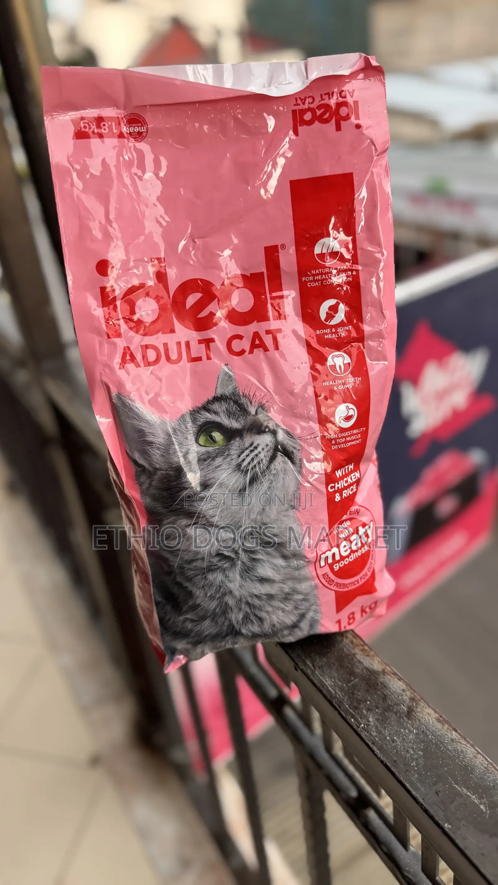 Ideal Adult Cat Dry