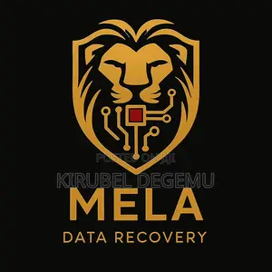 Photo - Data Recovery