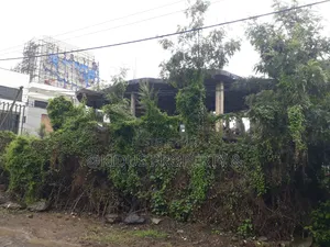 Photo - Property, Land