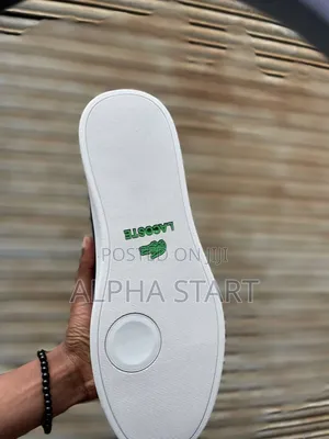 Lactose Premium Quality New Arrival Available on Hand