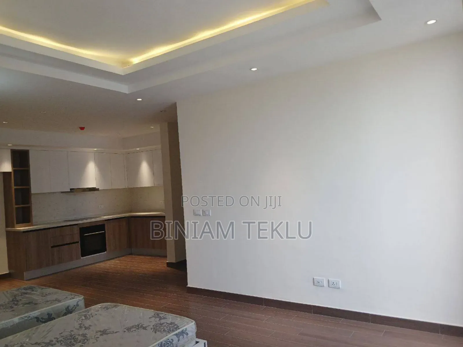 Furnished 3bdrm Apartment in Kasaches, Kirkos for rent