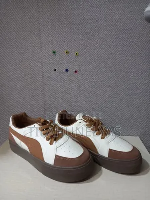 Puma With Black And Brown Color