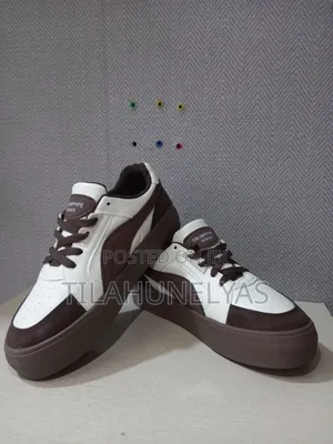 Photo - Puma With Black And Brown Color