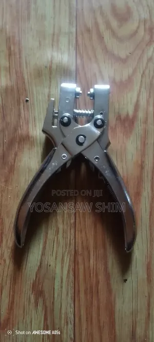 Photo - Mebsha + Mecheflekya