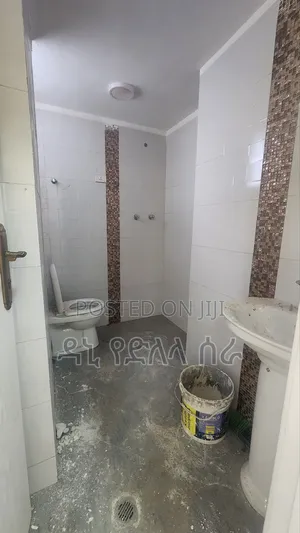 Furnished 3bdrm Condo in አዲስ አበባ, Bole for sale