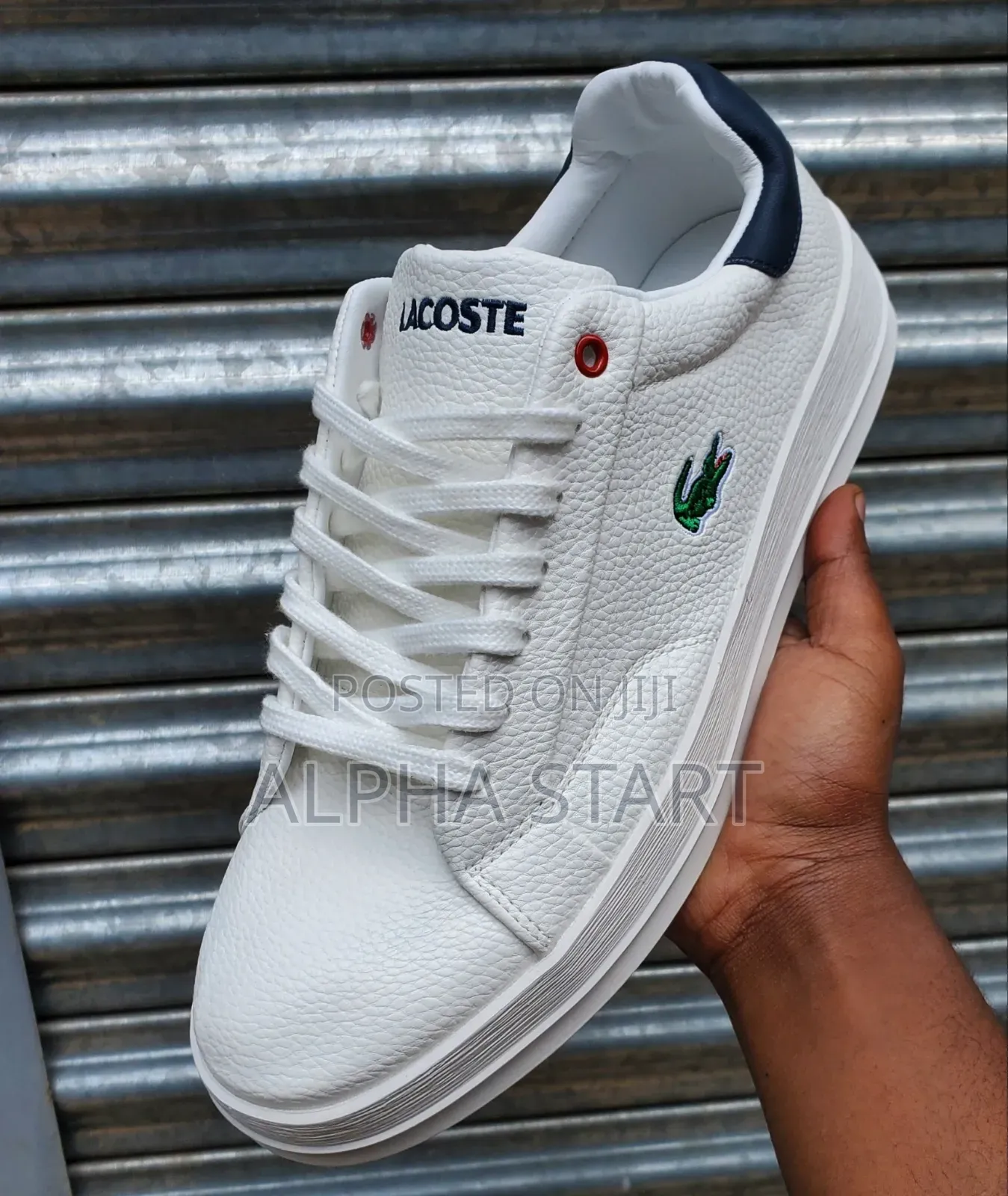 Lacoste High Quality Size 40,41,42,43,44 With Free Delivery
