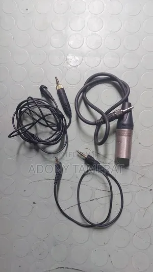Sennheiser Wireless Mic
