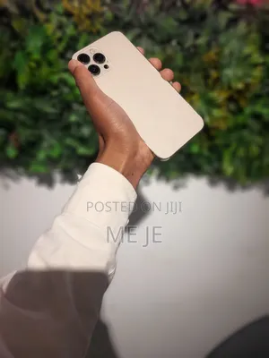 Apple iPhone 12 Pro Max 256 GB Gold