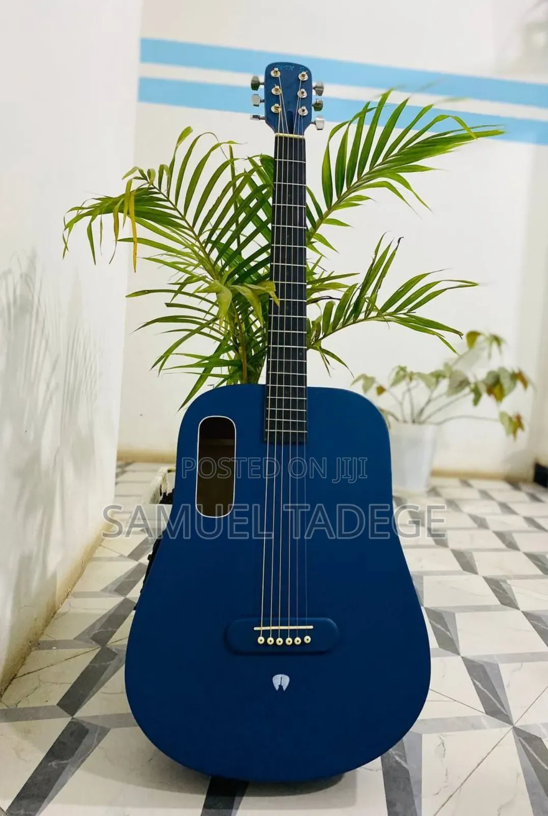 Semi Acoustic Guitar