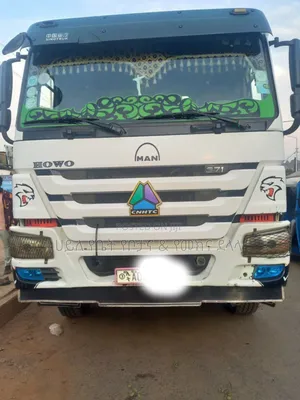 Photo - 2019 Howo Sino Casoni 371hp for Sale