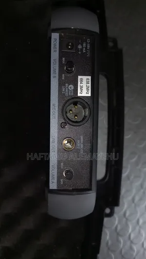 Shure Pgx4 Performance Gear With Dual Wireless Beta 58a Mic