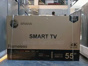 Bravia 55 Inch Tv