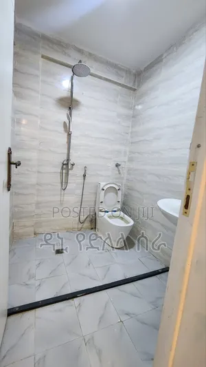 Furnished 4bdrm Apartment in አዲስ አበ, Bole for sale