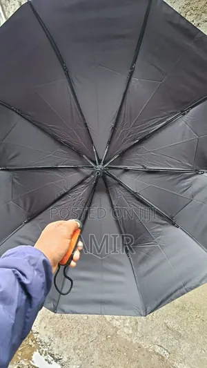 ባለ አስር 10 ሽቦ ሰፊ ዣንጥላ