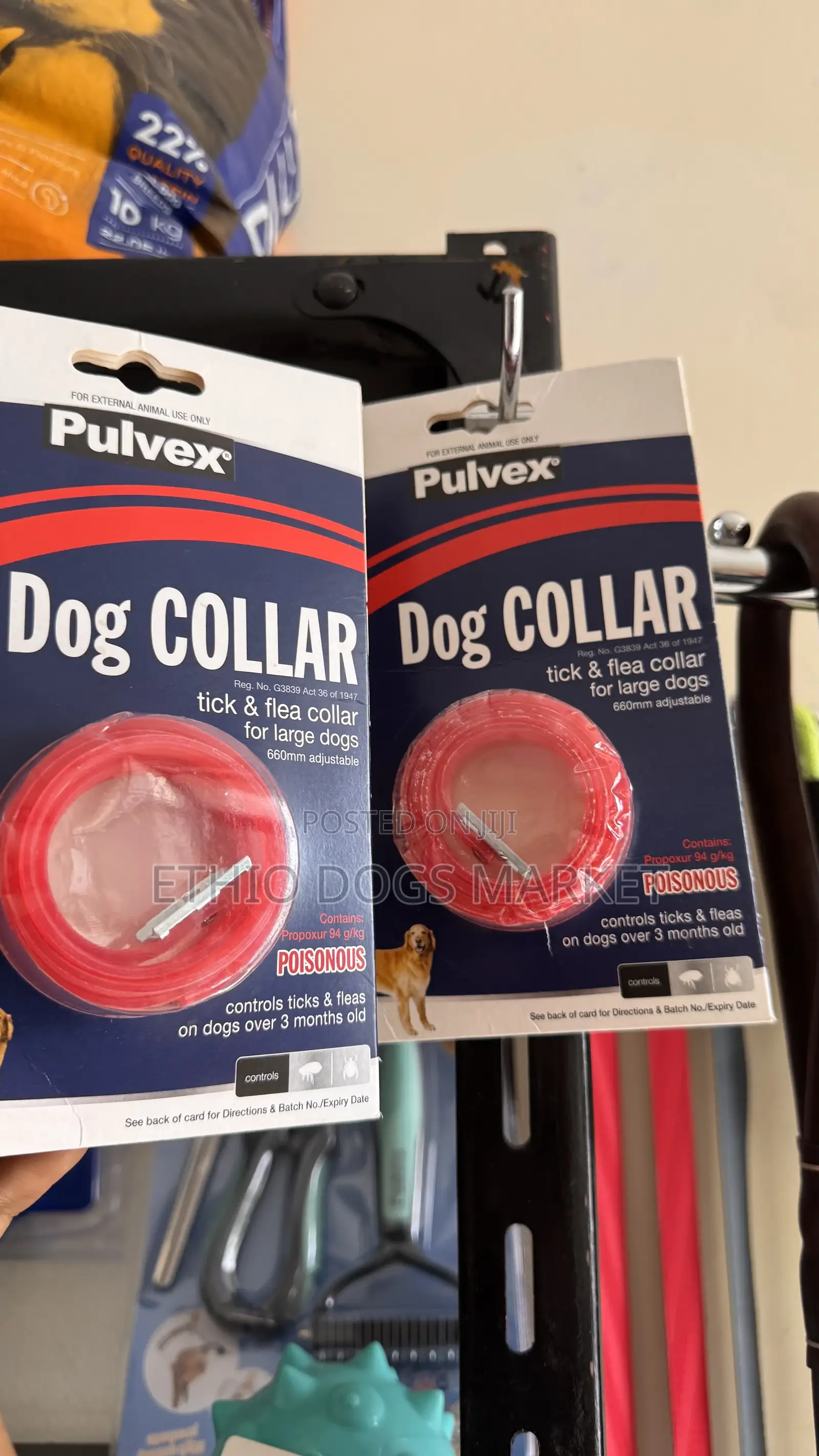 Flee and Tick Collars የቁንጫ መከላከያ የአንገት ቀበቶ