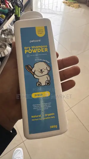 Dry Shampoo Powder