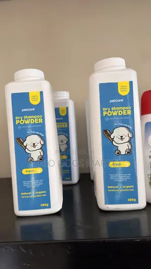 Dry Shampoo Powder