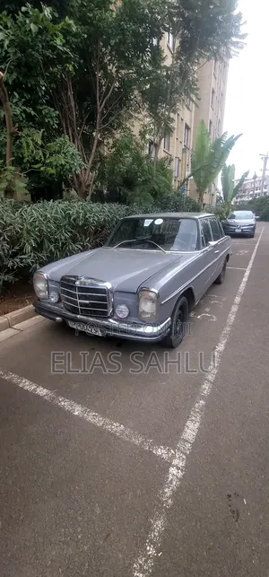 Mercedes-Benz E250 1969 Gray