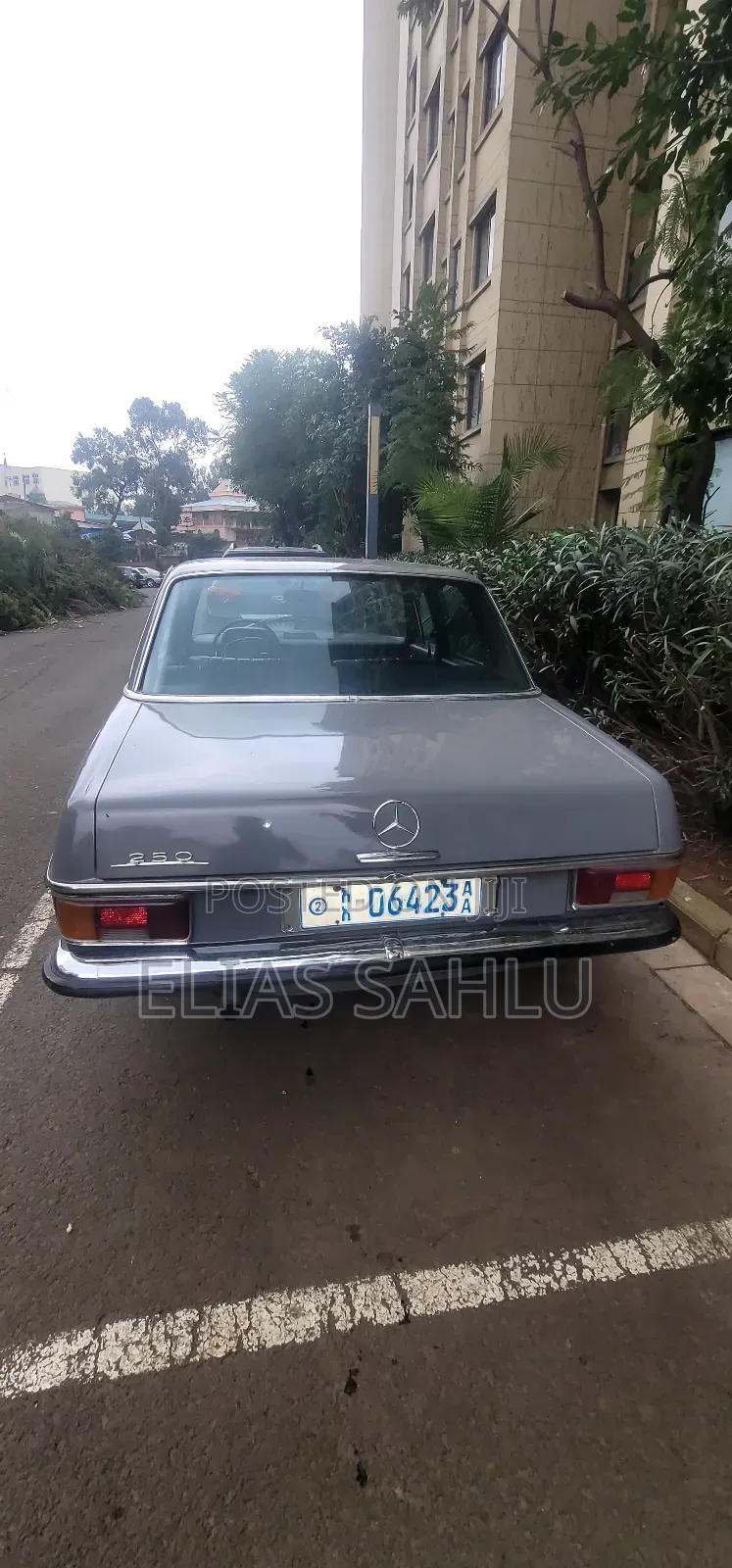 Mercedes-Benz E250 1969 Gray