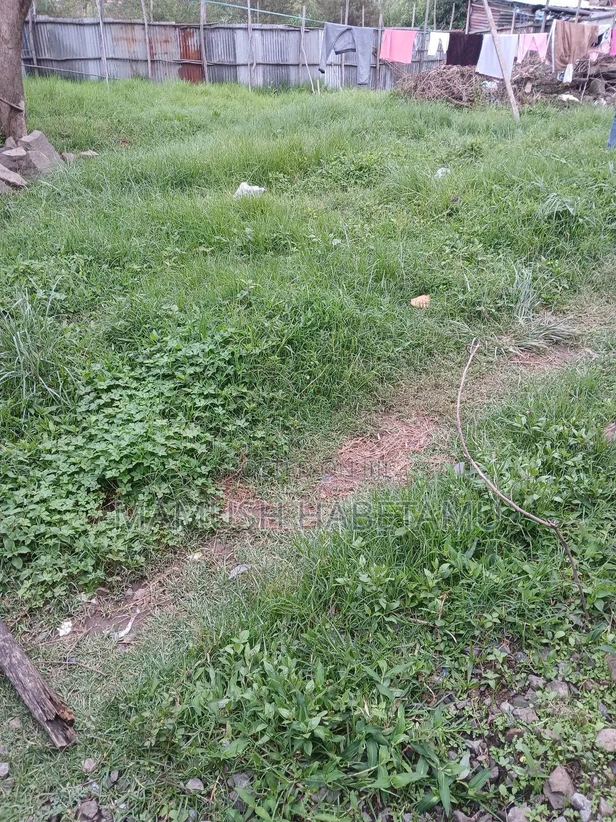 የሚሸጥ አአስተማማኝ ቦታ