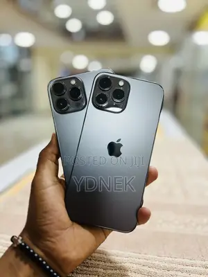 Photo - Apple iPhone 13 Pro Max 256 GB Silver