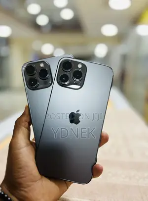 Apple iPhone 13 Pro Max 256 GB Silver