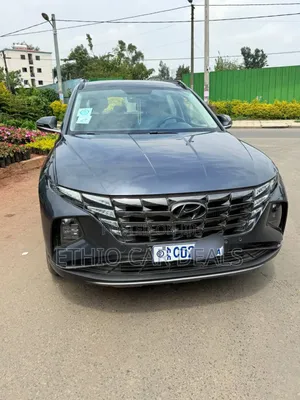 Photo - Hyundai Tucson Sport 2021 Gray