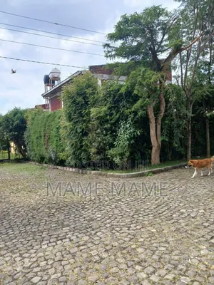 4bdrm House in Addis Abeba, Bole for sale