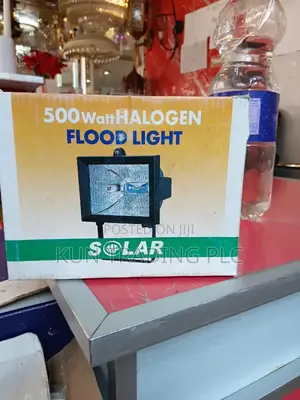 Halogen Flood Light 500watt