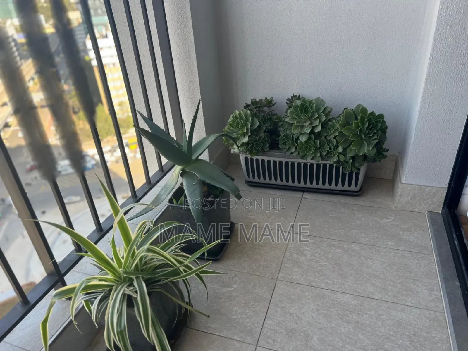 Furnished 1bdrm Apartment in Addis Abeba, Bole for rent