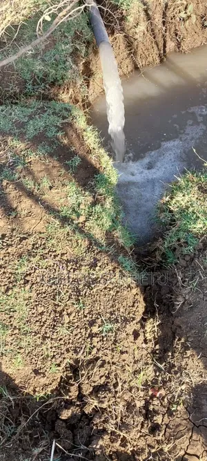 Agricultural Land for Rent