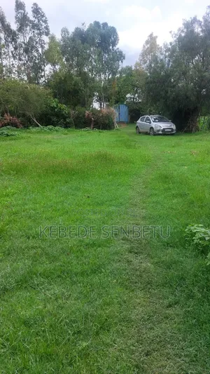 Agricultural Land for Rent