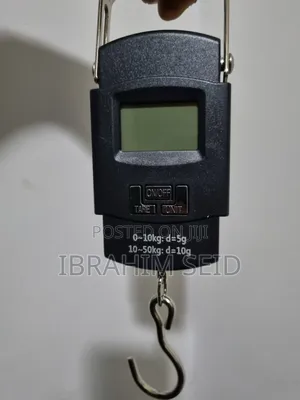 Electronic Luggage Scale ዘመናዊ በኤሌክትሮኒክስ የሚሰራ ሚዛን