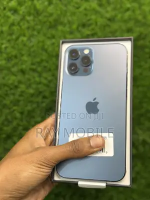 New Apple iPhone 12 Pro Max 256 GB Blue