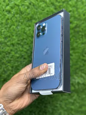 New Apple iPhone 12 Pro Max 256 GB Blue