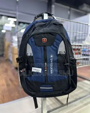 Swiss Gear Backpack