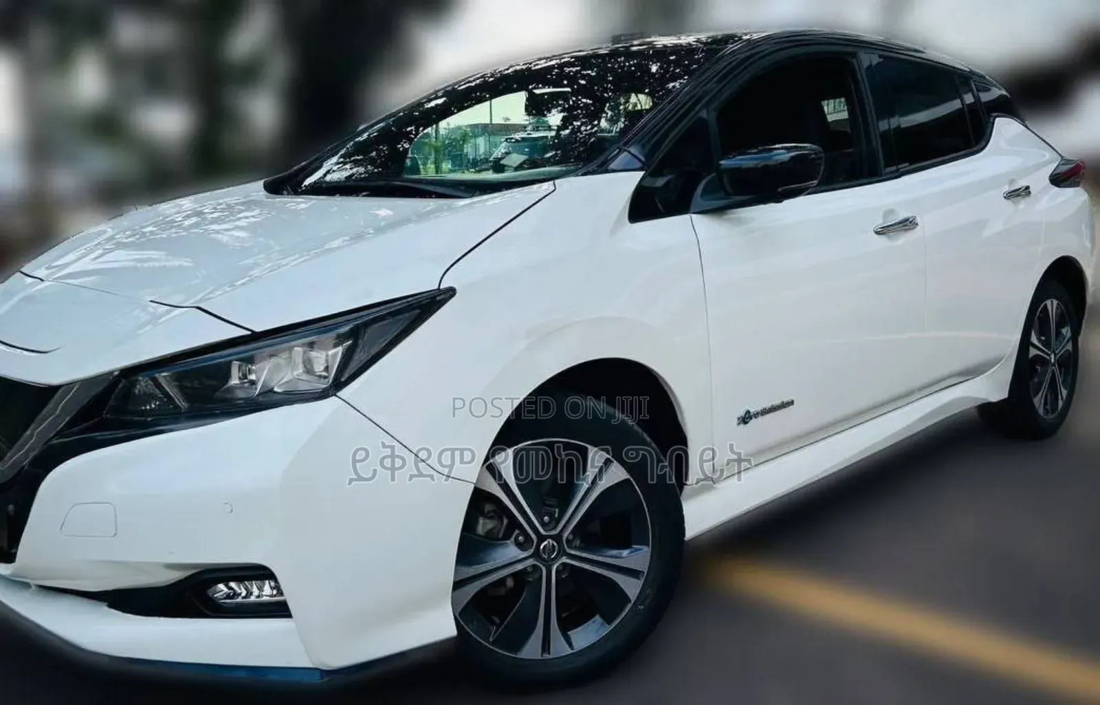 Nissan Leaf S PLUS 2022 White