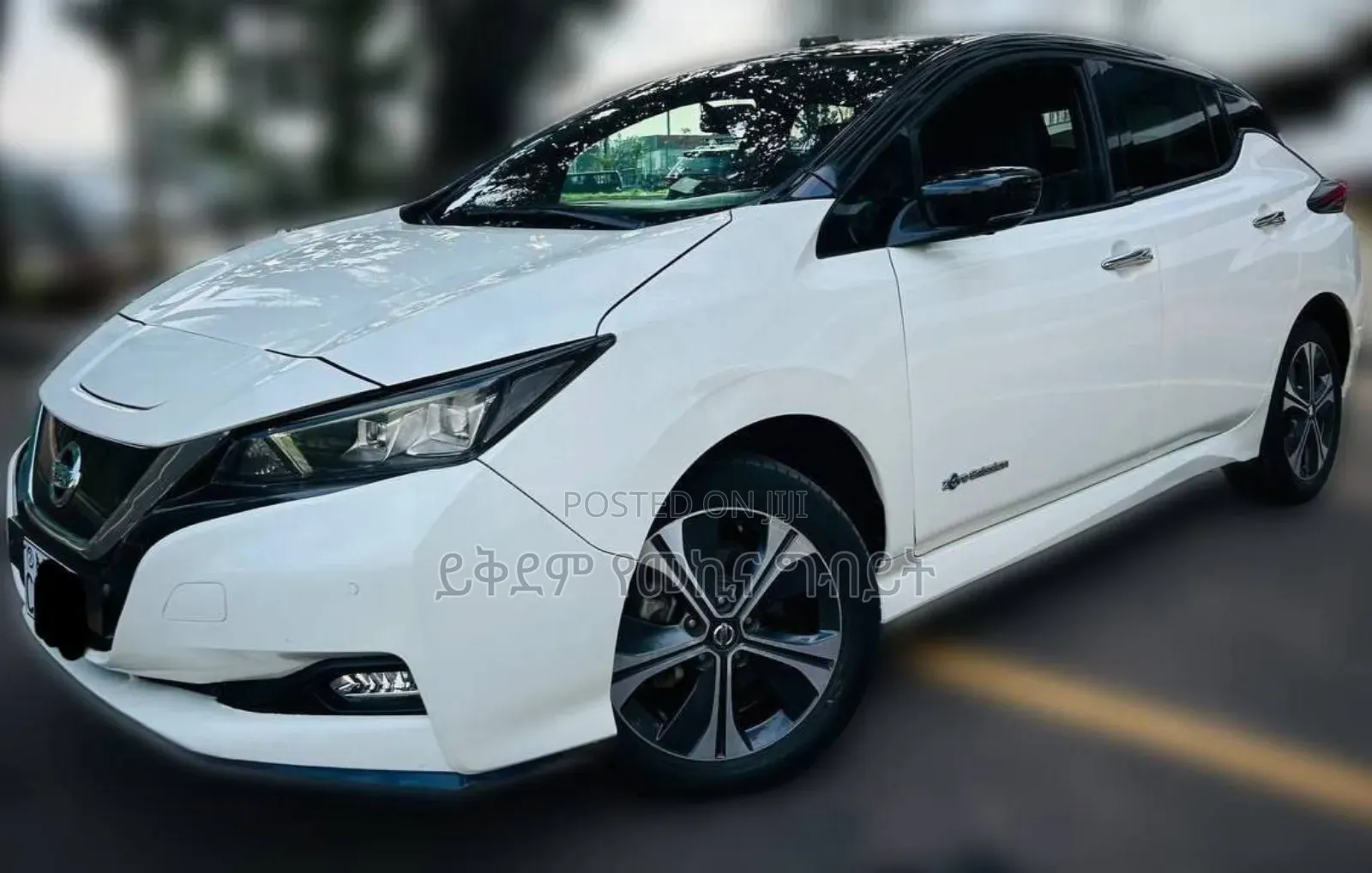 Nissan Leaf S PLUS 2022 White