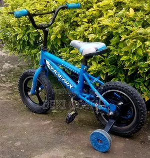 Photo - Phoniex Cycle