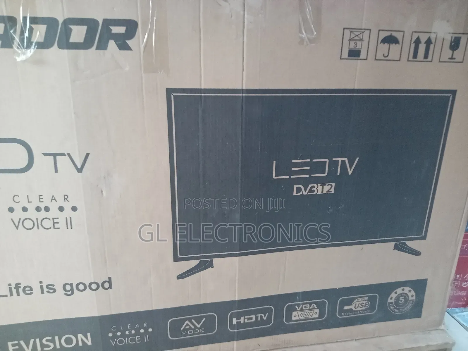 Salvador Tv 55 Inch