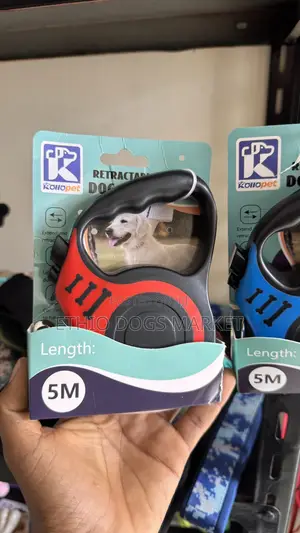 Retractable Leash