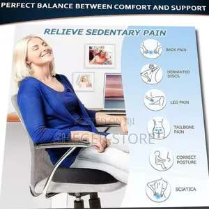 Orginal Green Lion Orthopedic Seat Cushion(Free Delivery Included)