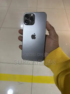 Apple iPhone 13 Pro Max 256 GB Gray